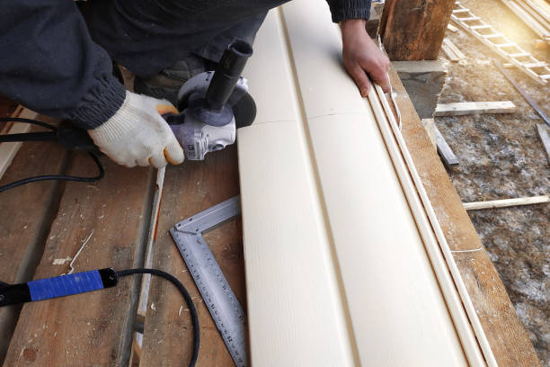 Best Siding Removal and Disposal  in Hudson, FL